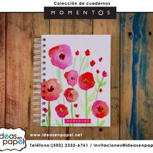 COLECCIÓN MOMENTOS M-002
